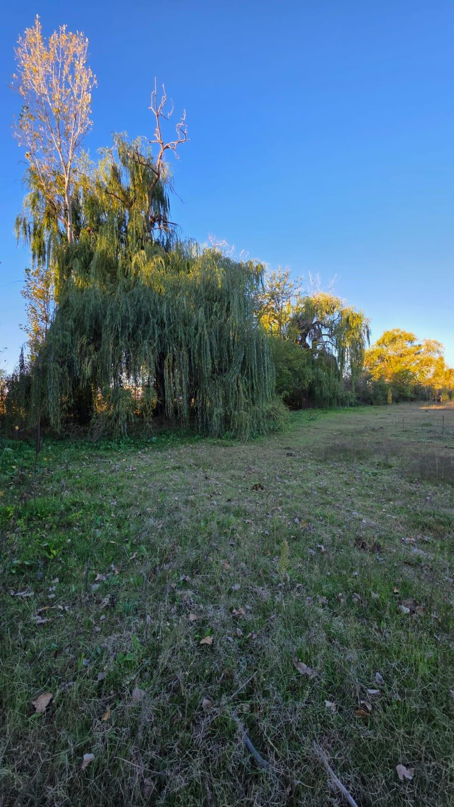 Finca en Venta en Tunuyan, Mendoza