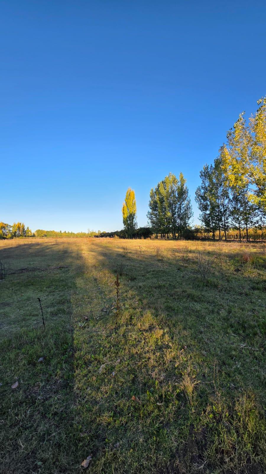 Finca en Venta en Tunuyan, Mendoza