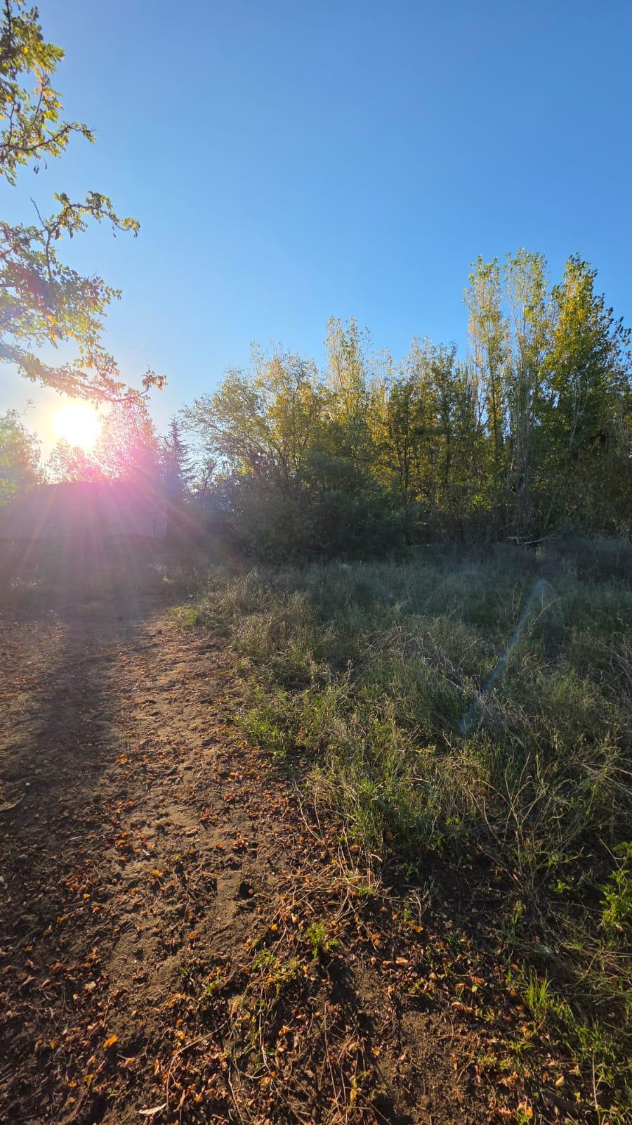 Finca en Venta en Tunuyan, Mendoza