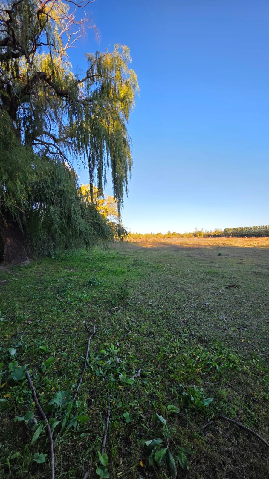 Finca en Venta en Tunuyan, Mendoza