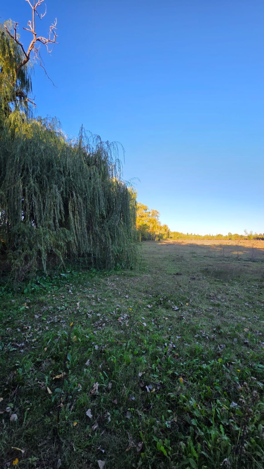 Finca en Venta en Tunuyan, Mendoza