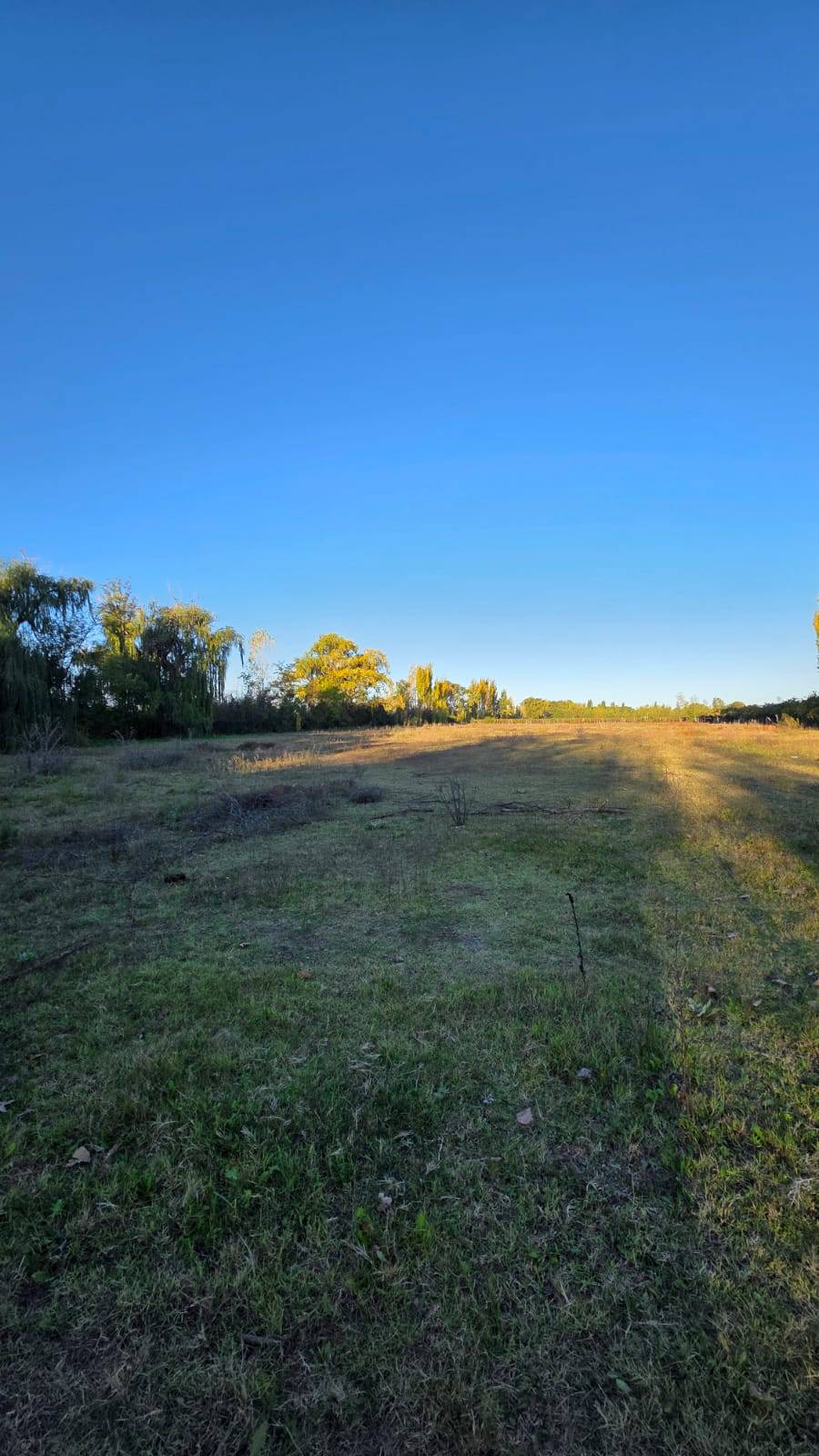 Finca en Venta en Tunuyan, Mendoza