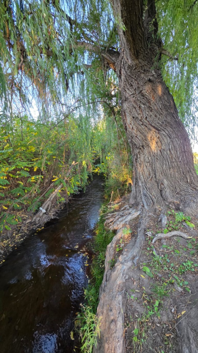 Finca en Venta en Tunuyan, Mendoza