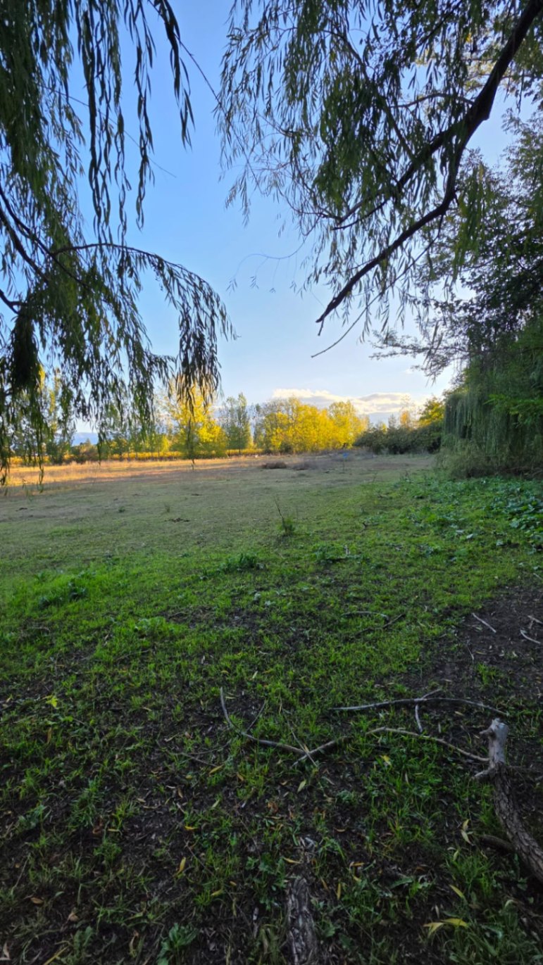 Finca en Venta en Tunuyan, Mendoza