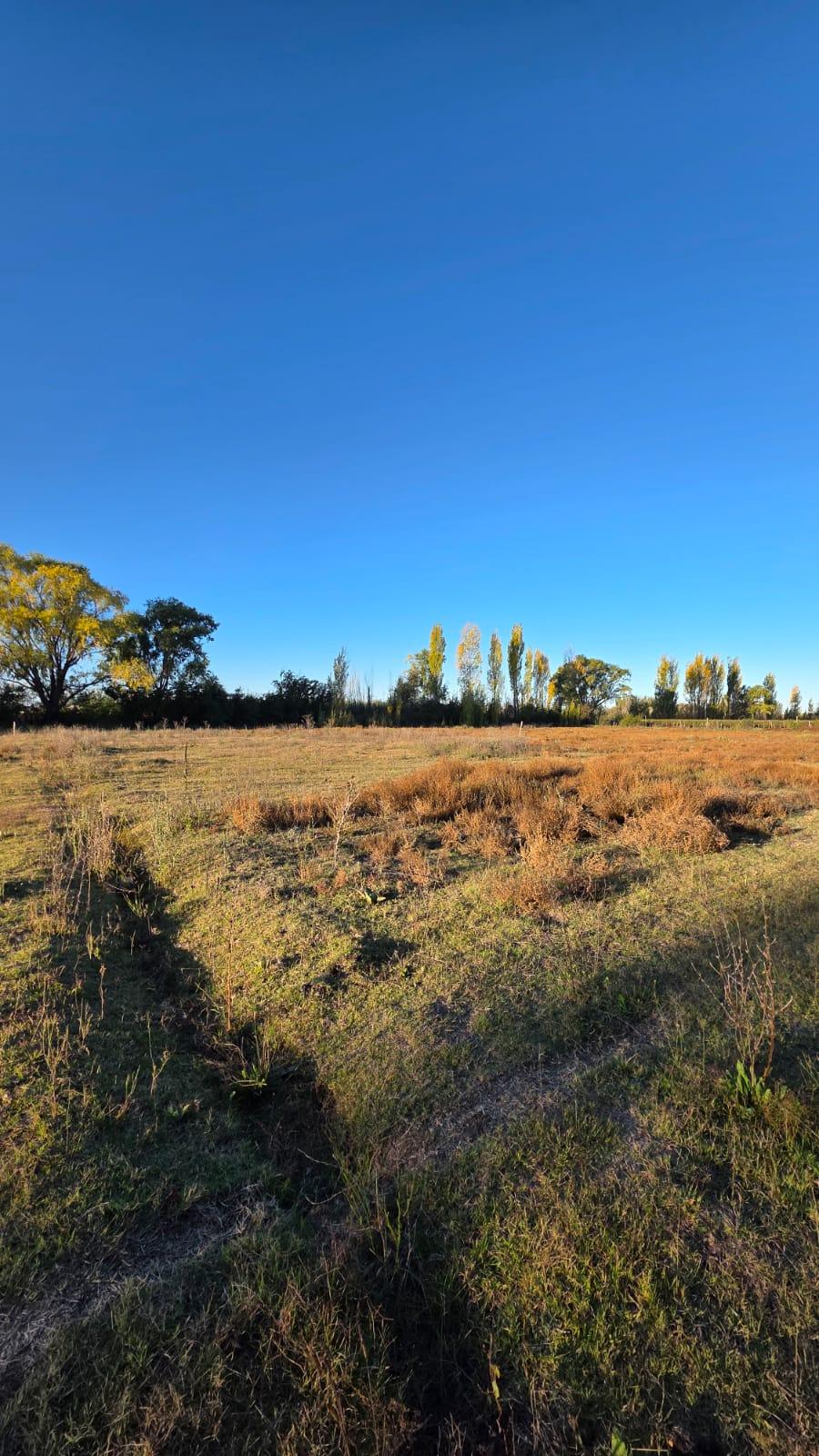 Finca en Venta en Tunuyan, Mendoza