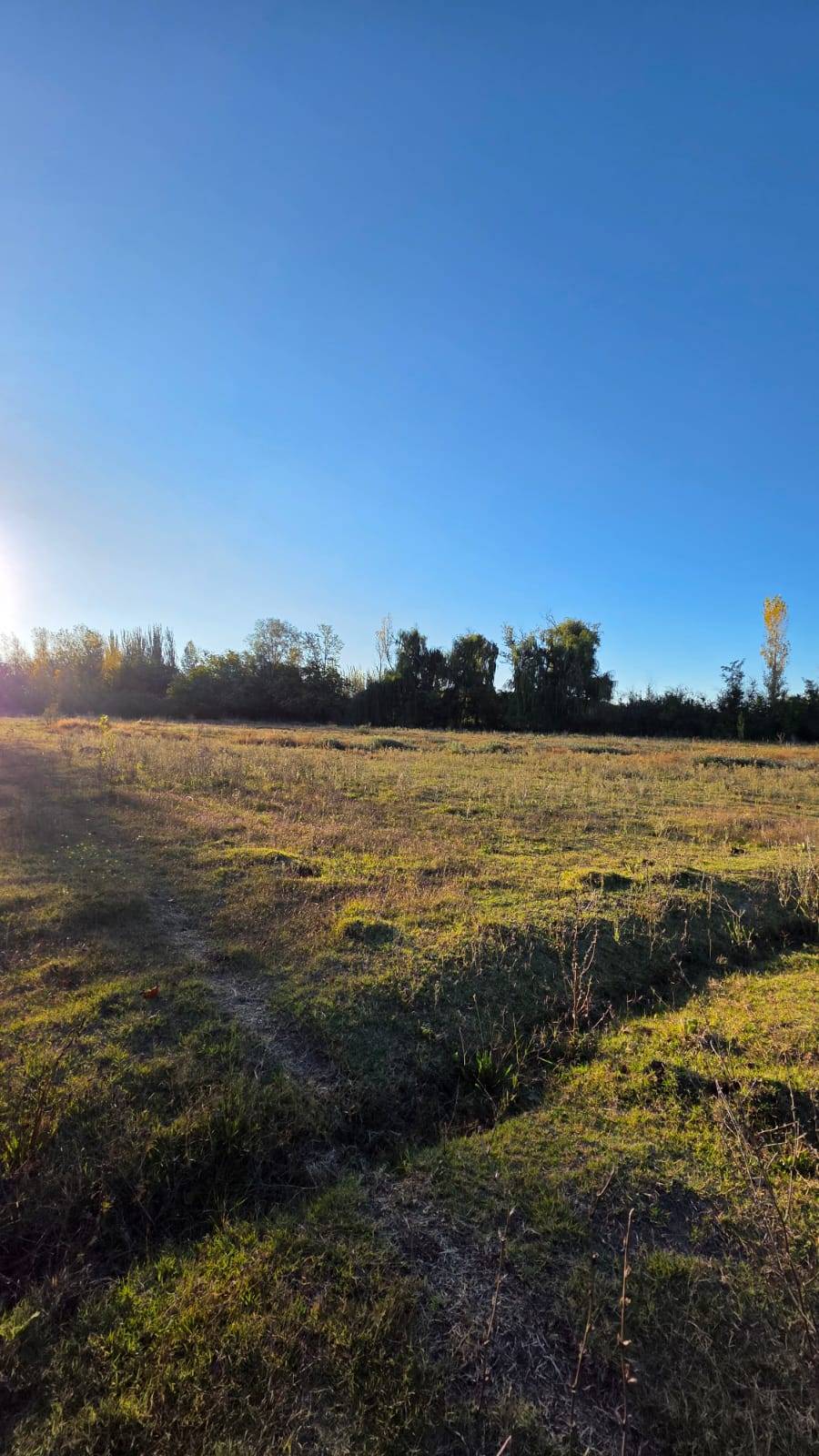 Finca en Venta en Tunuyan, Mendoza