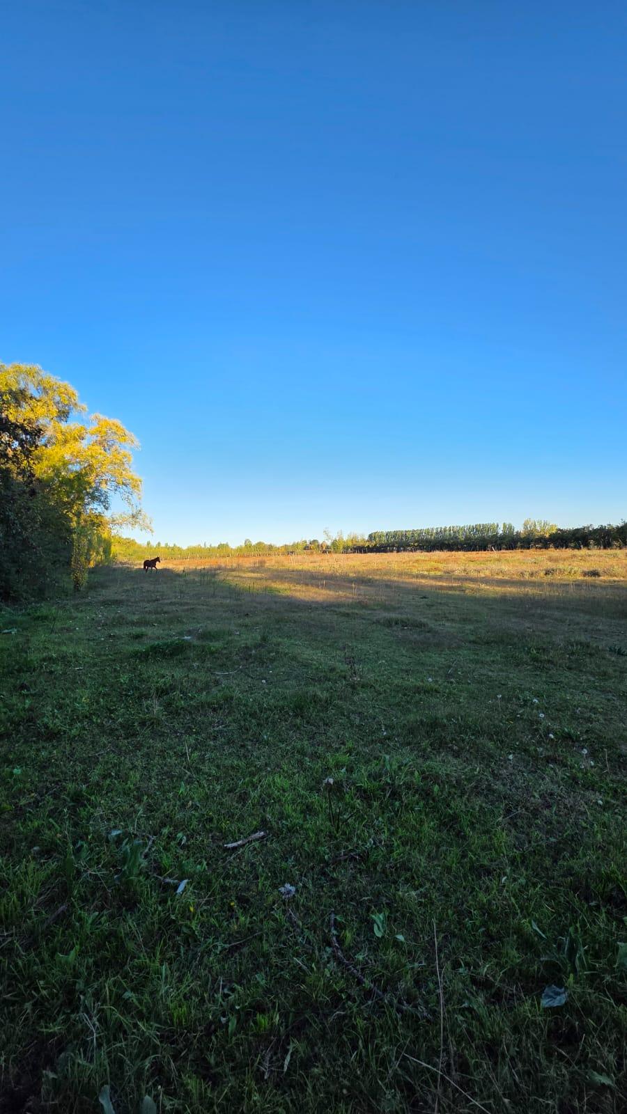 Finca en Venta en Tunuyan, Mendoza