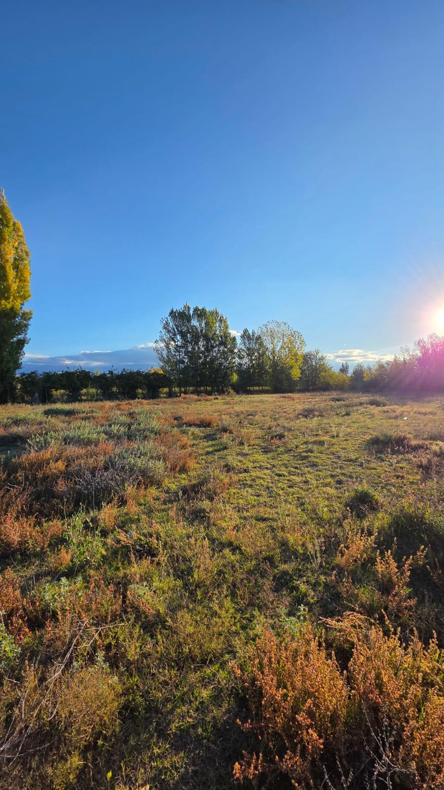 Finca en Venta en Tunuyan, Mendoza