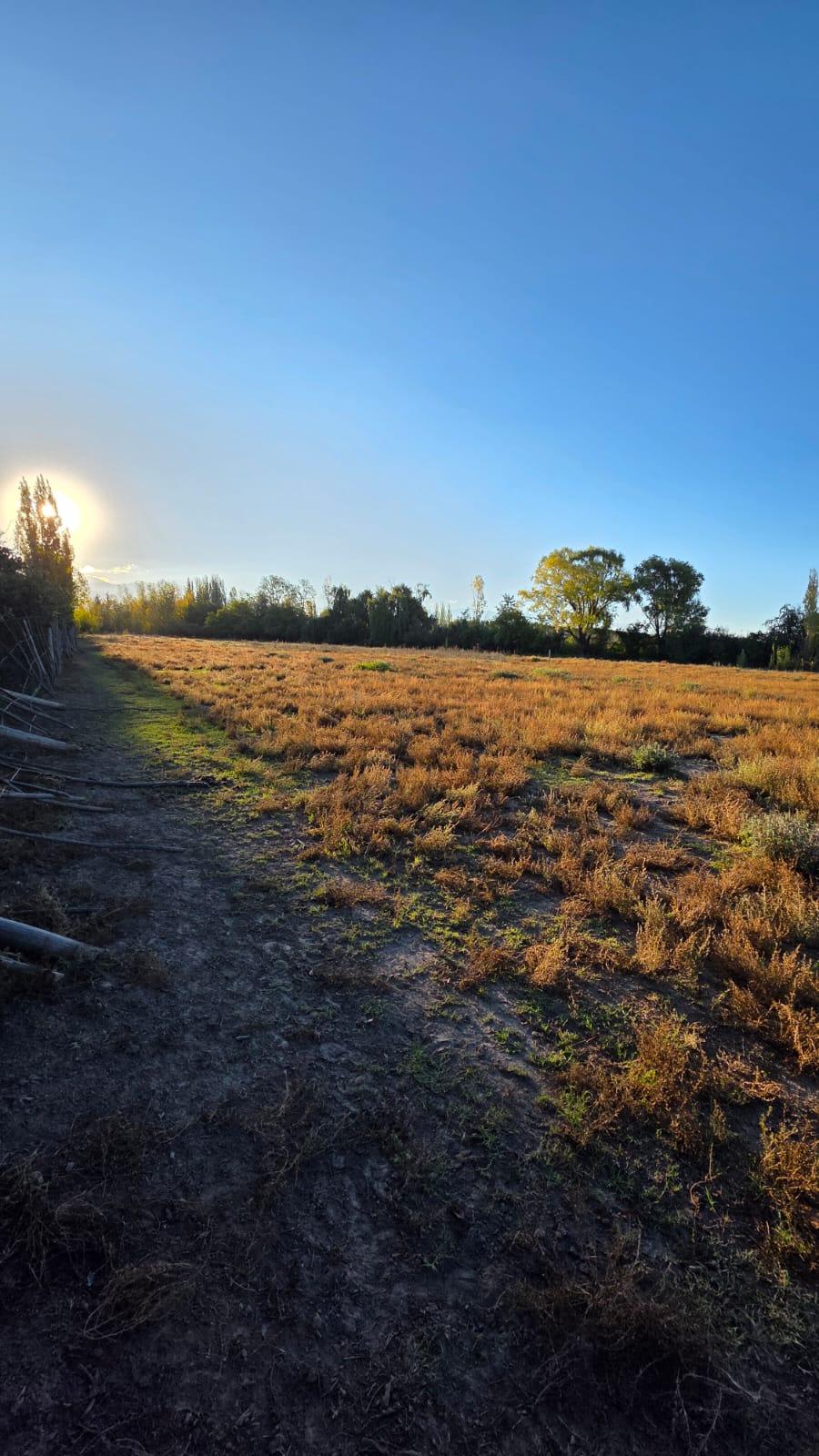Finca en Venta en Tunuyan, Mendoza