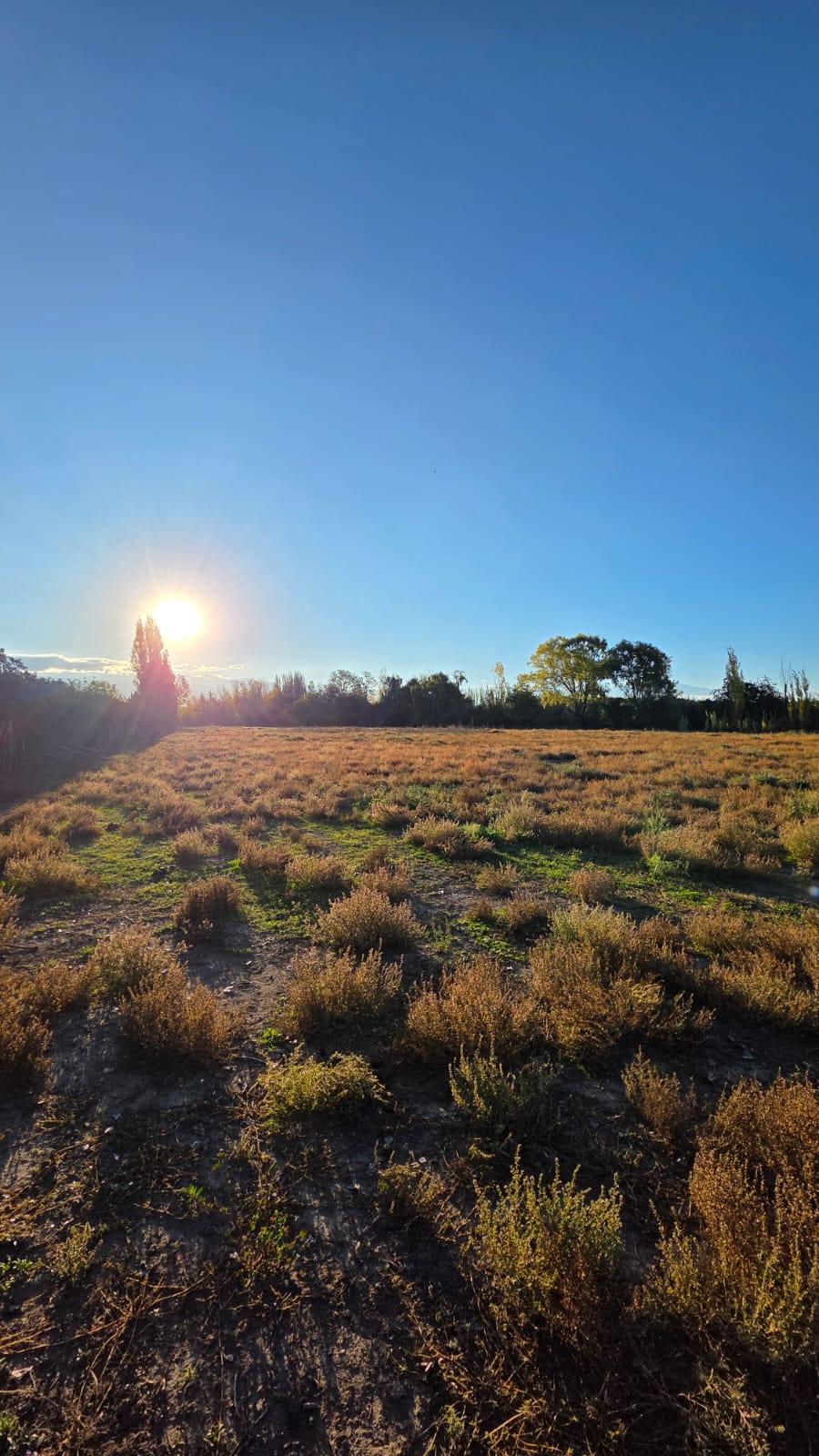 Finca en Venta en Tunuyan, Mendoza