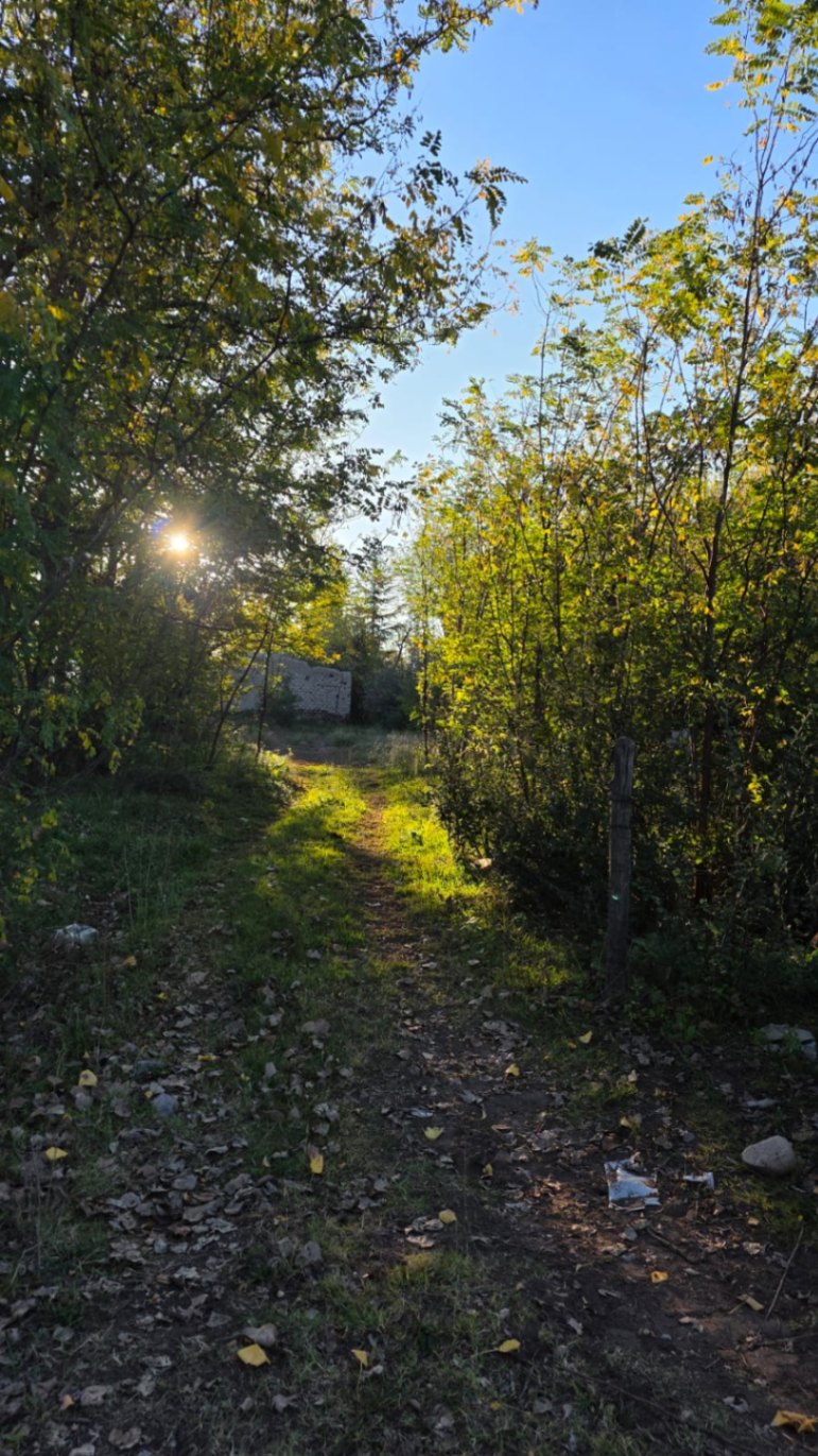 Finca en Venta en Tunuyan, Mendoza