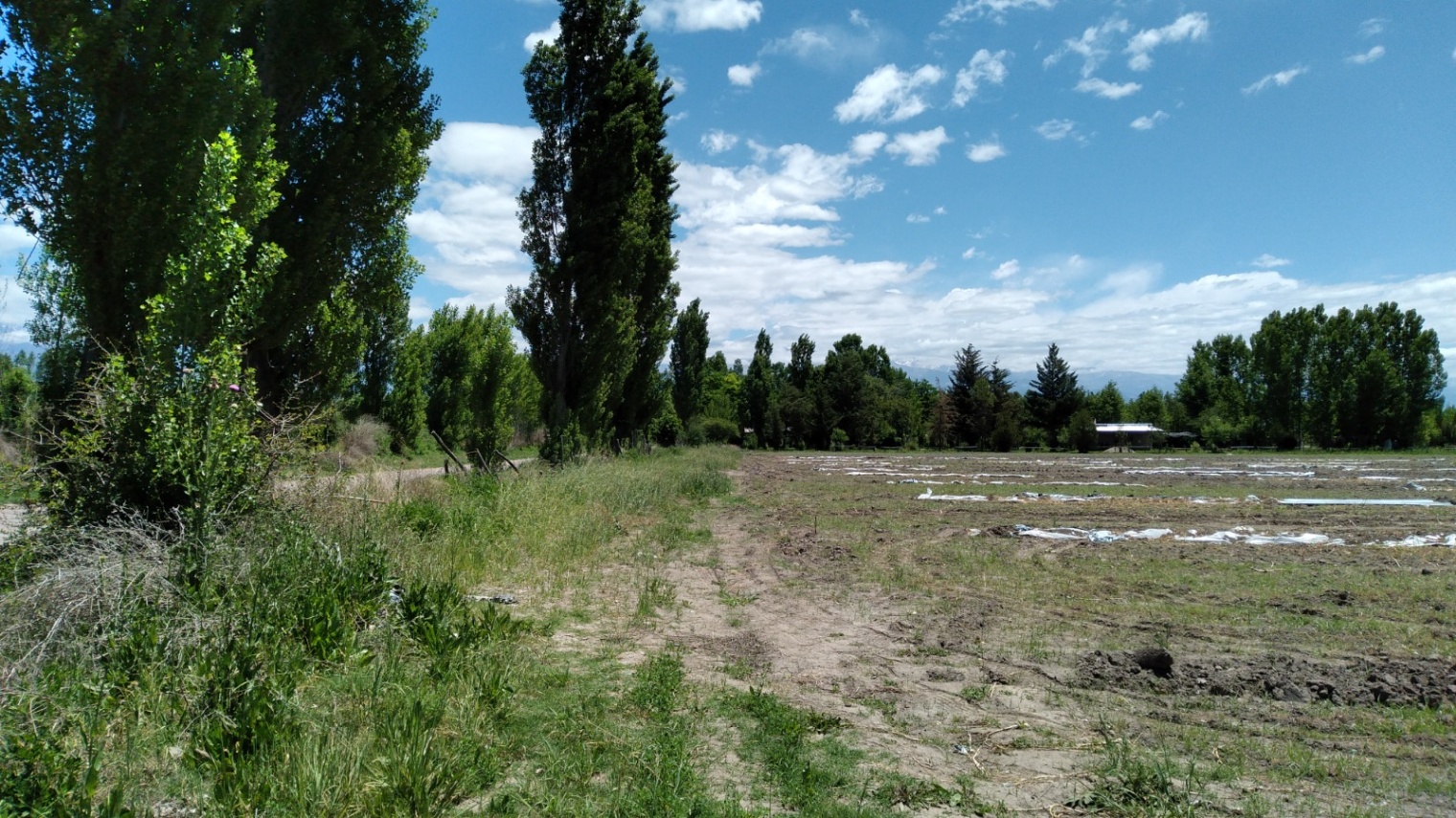 Terreno en Venta en Tunuyan, Mendoza
