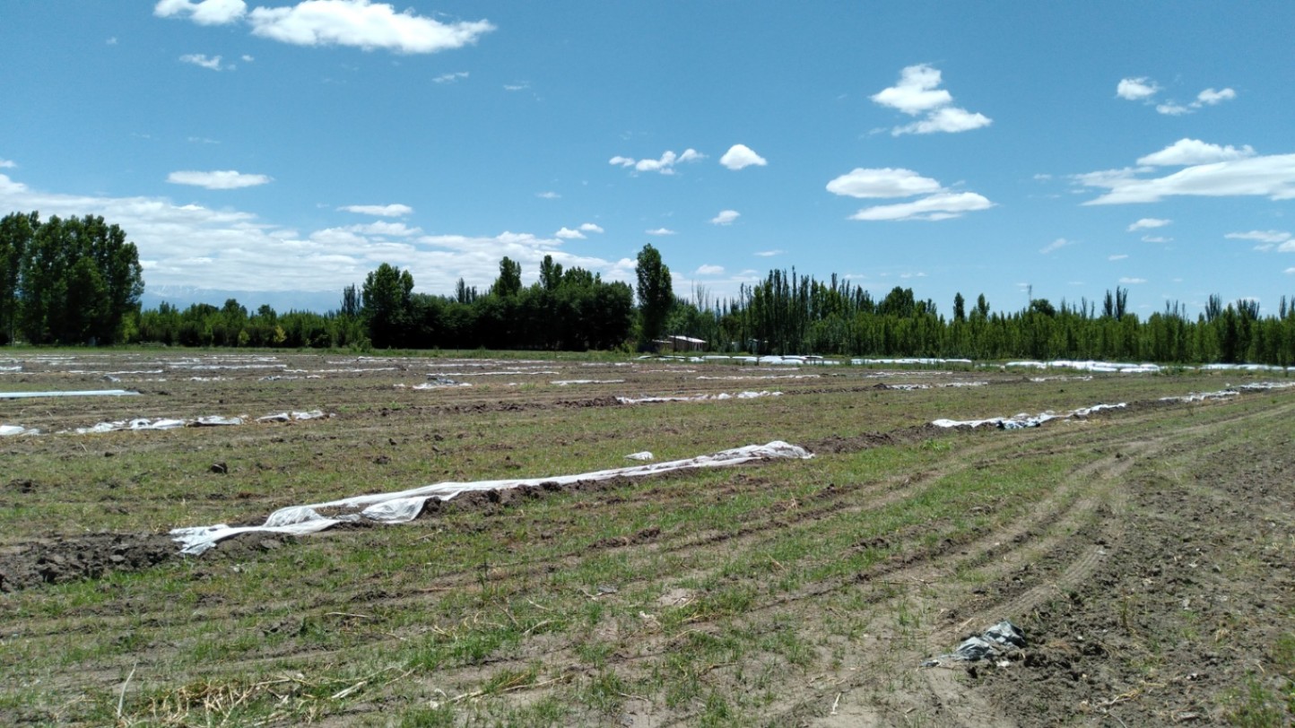 Terreno en Venta en Tunuyan, Mendoza