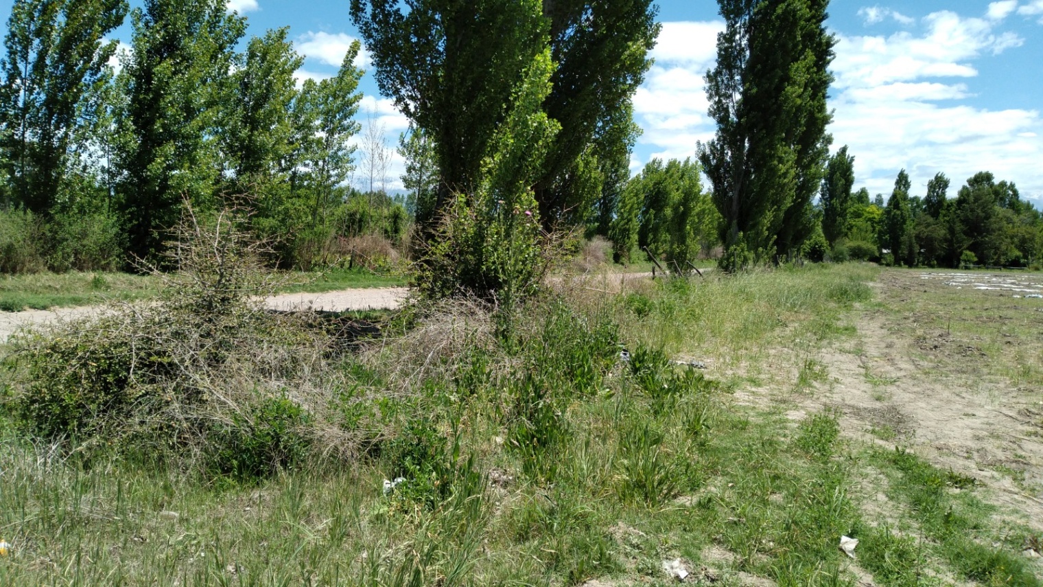 Terreno en Venta en Tunuyan, Mendoza