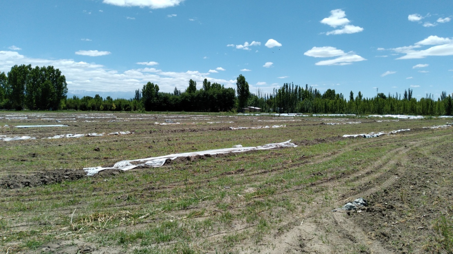 Terreno en Venta en Tunuyan, Mendoza
