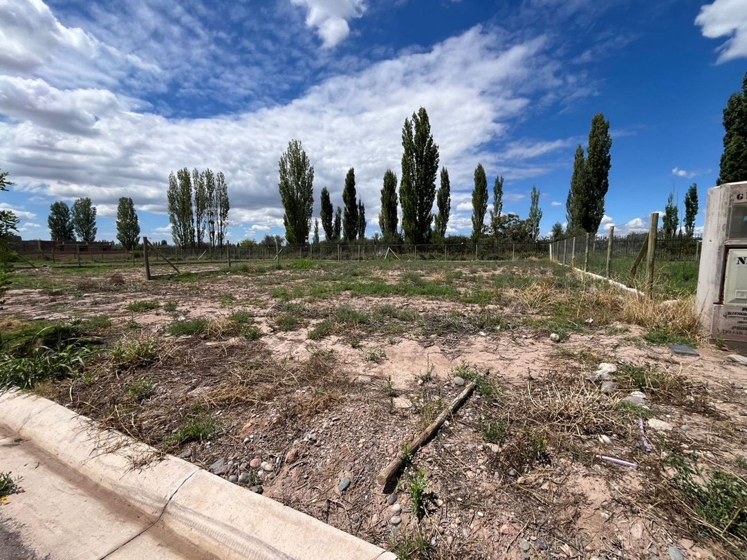 Terreno en Venta en Lujan de Cuyo, Mendoza