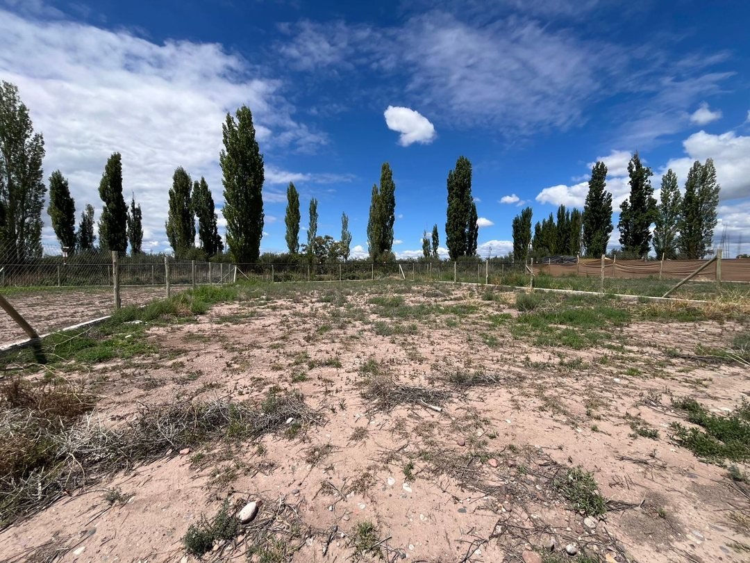 Terreno en Venta en Lujan de Cuyo, Mendoza