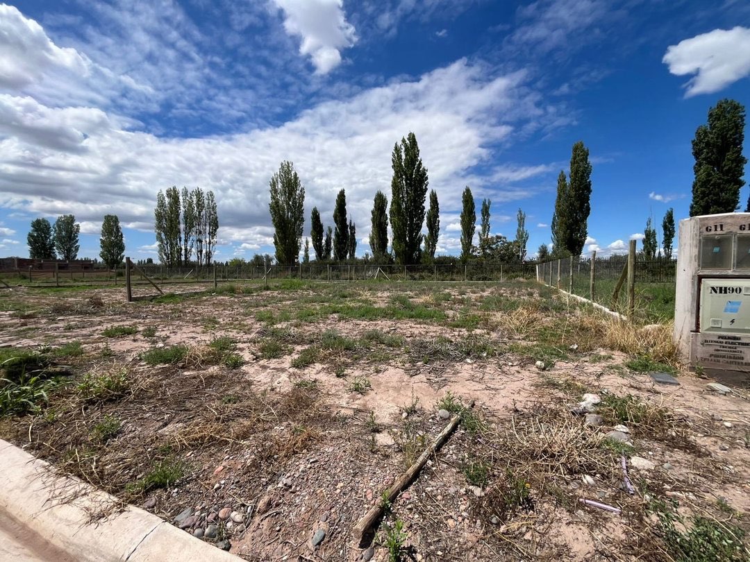 Terreno en Venta en Lujan de Cuyo, Mendoza