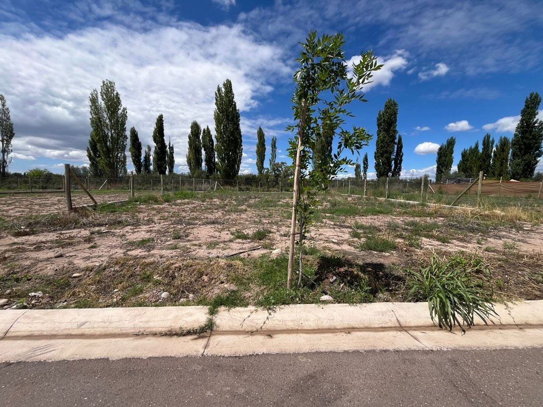 Terreno en Venta en Lujan de Cuyo, Mendoza
