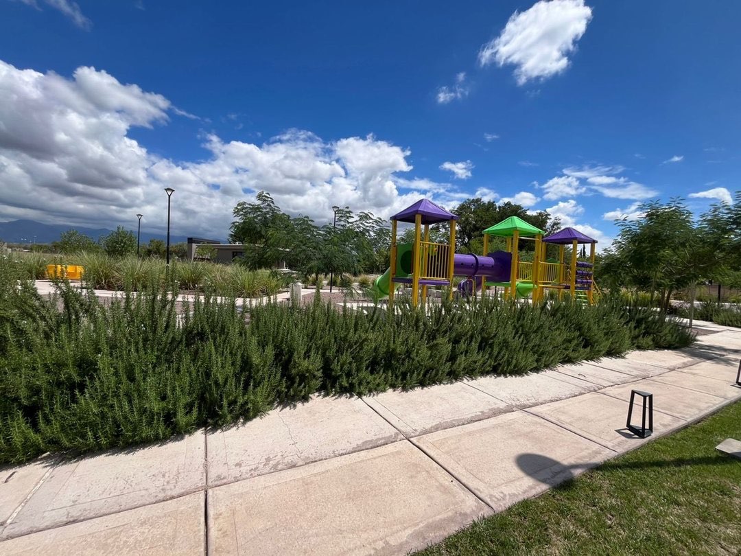 Terreno en Venta en Lujan de Cuyo, Mendoza