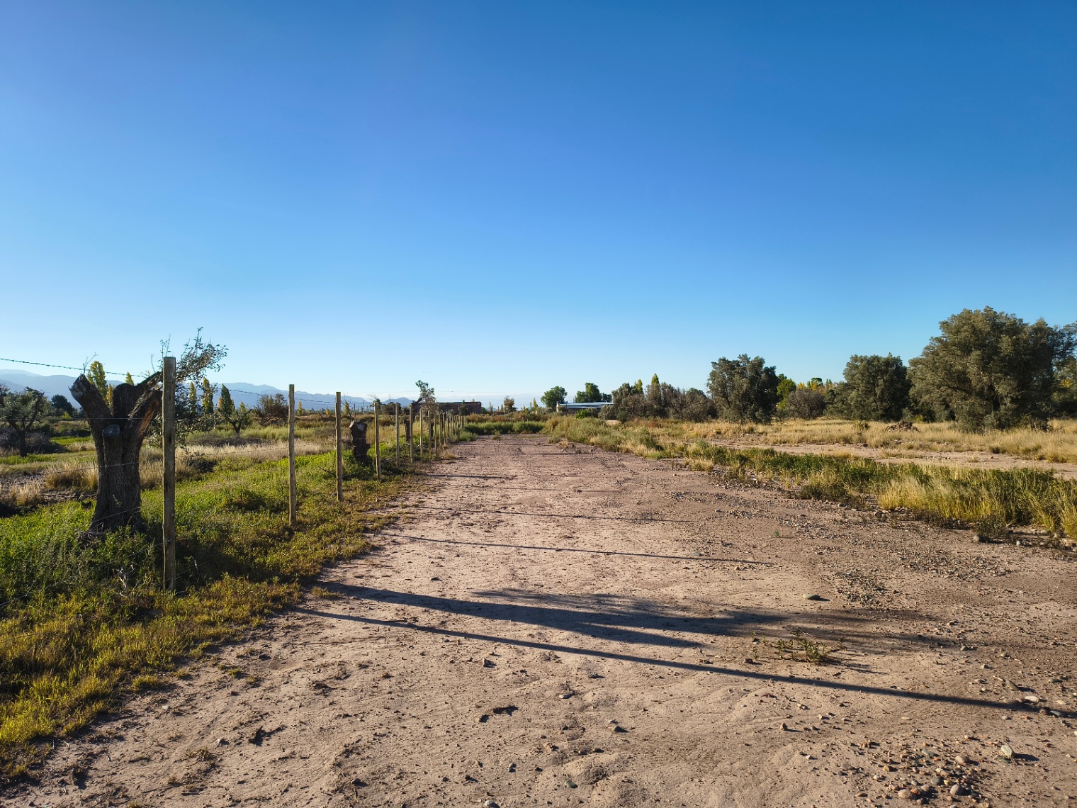 Terreno en Venta en Lujan de Cuyo, Mendoza