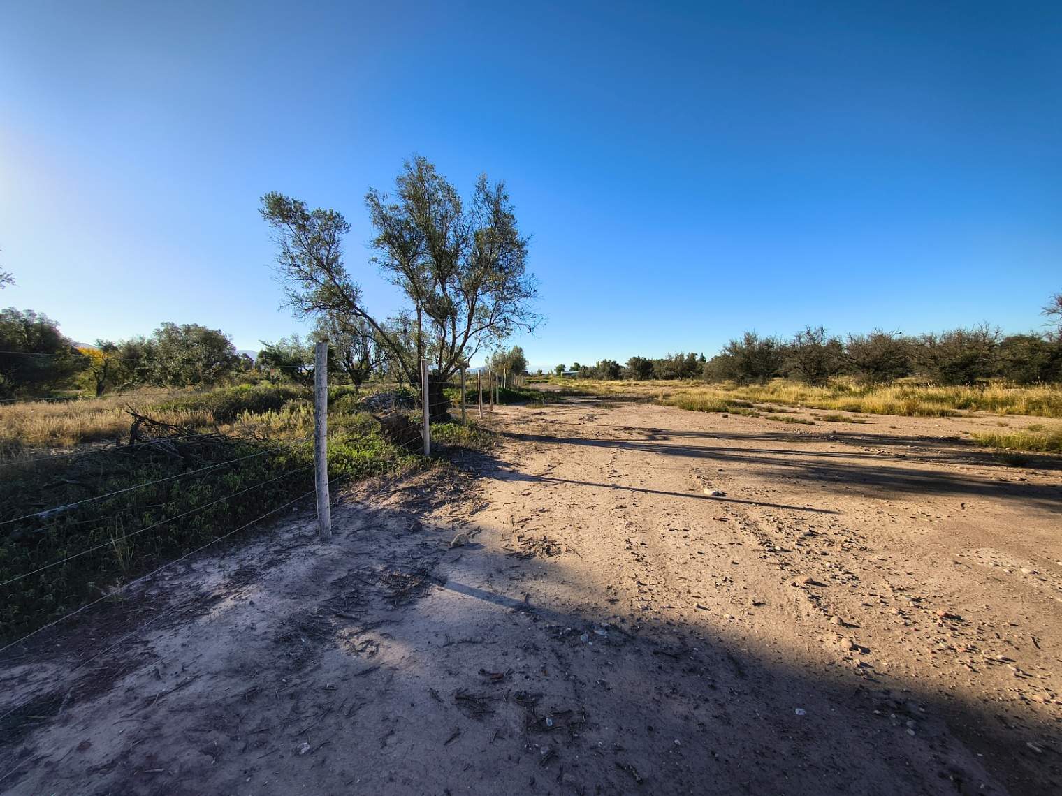 Terreno en Venta en Lujan de Cuyo, Mendoza