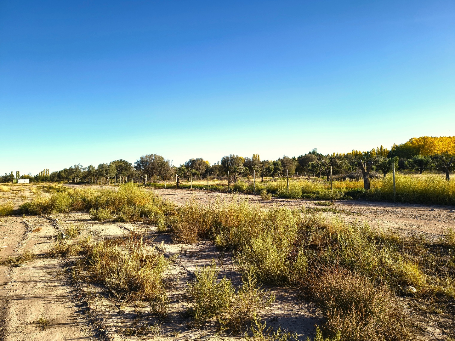 Terreno en Venta en Lujan de Cuyo, Mendoza