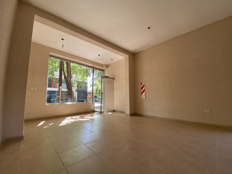 Local Comercial en Venta en Capital, Mendoza