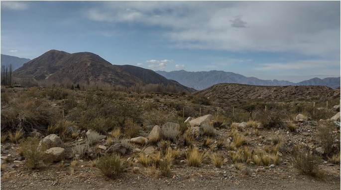 Terreno en Venta en Lujan de Cuyo, Mendoza