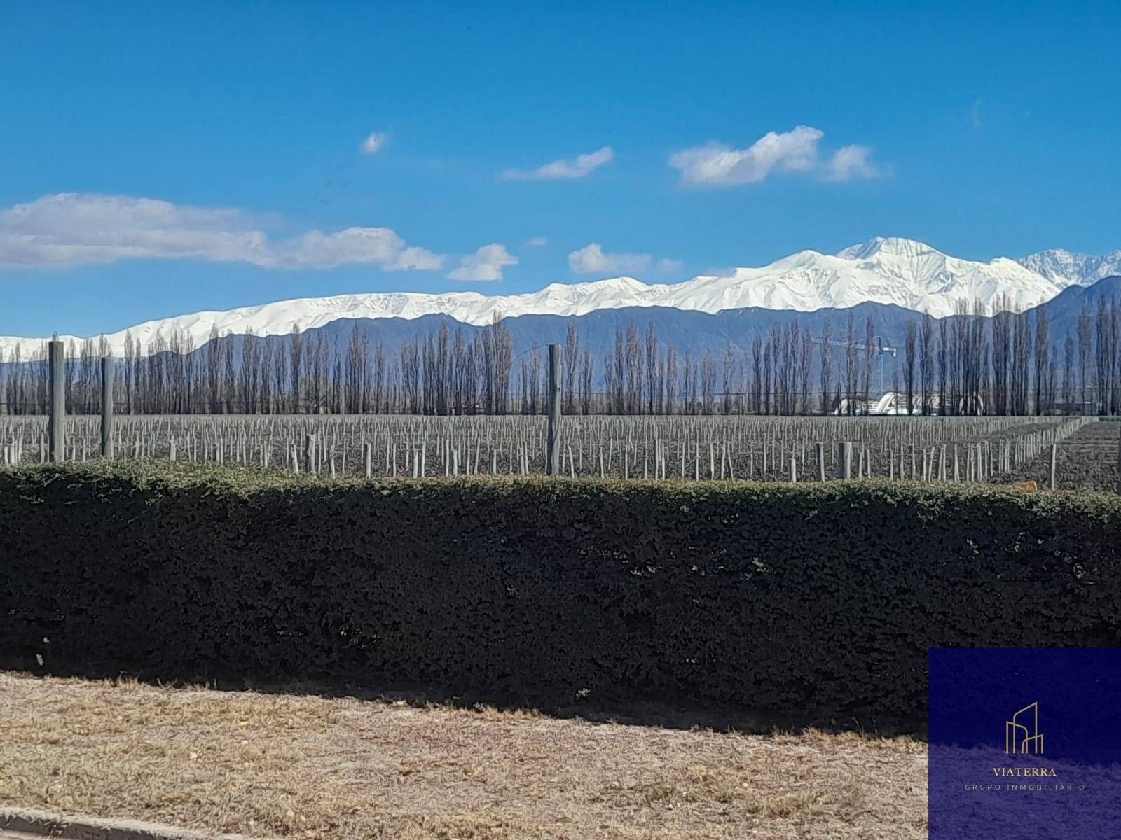 Terreno en Venta en Lujan de Cuyo, Mendoza
