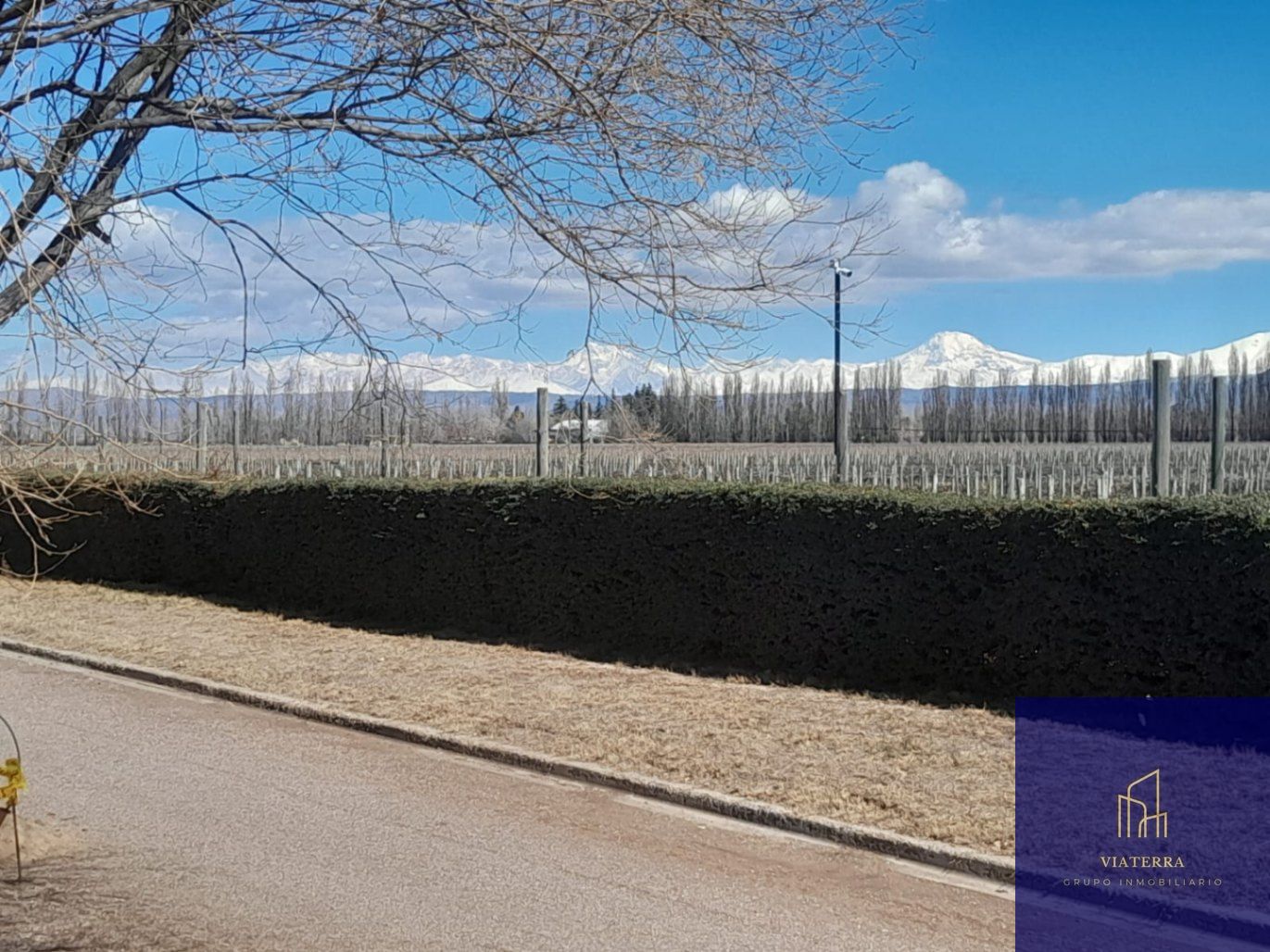 Terreno en Venta en Lujan de Cuyo, Mendoza