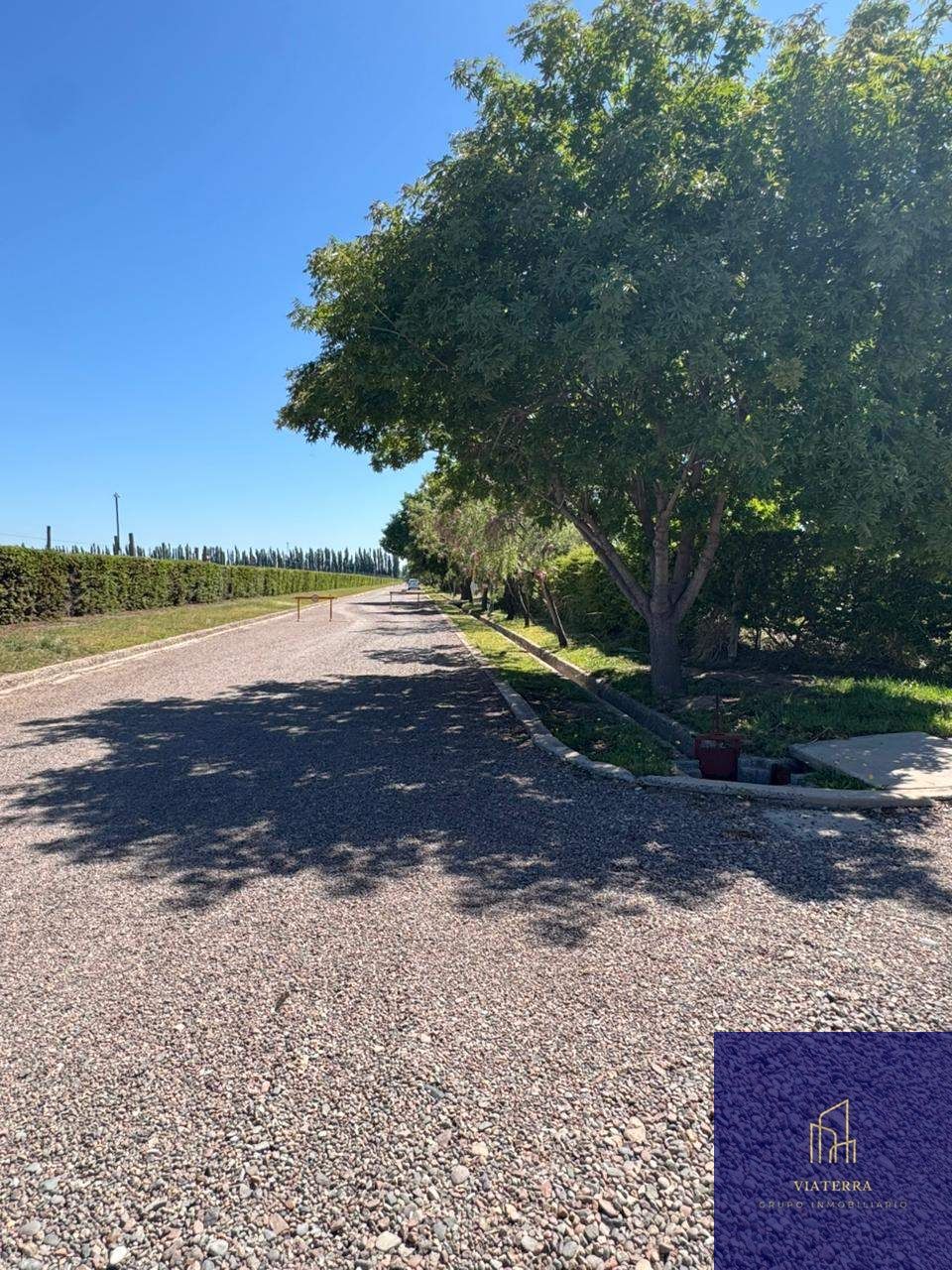 Terreno en Venta en Lujan de Cuyo, Mendoza