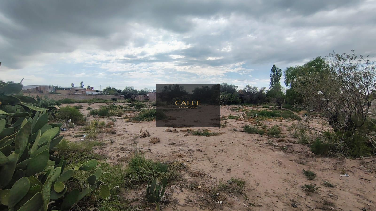 Terreno en Venta en Maipu, Mendoza