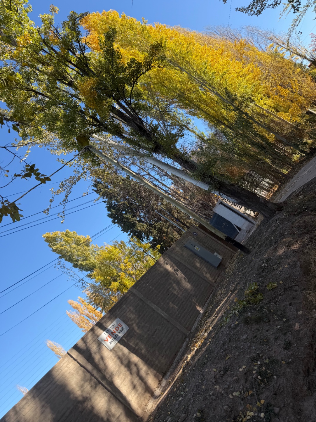 Terreno en Venta en Lujan de Cuyo, Mendoza