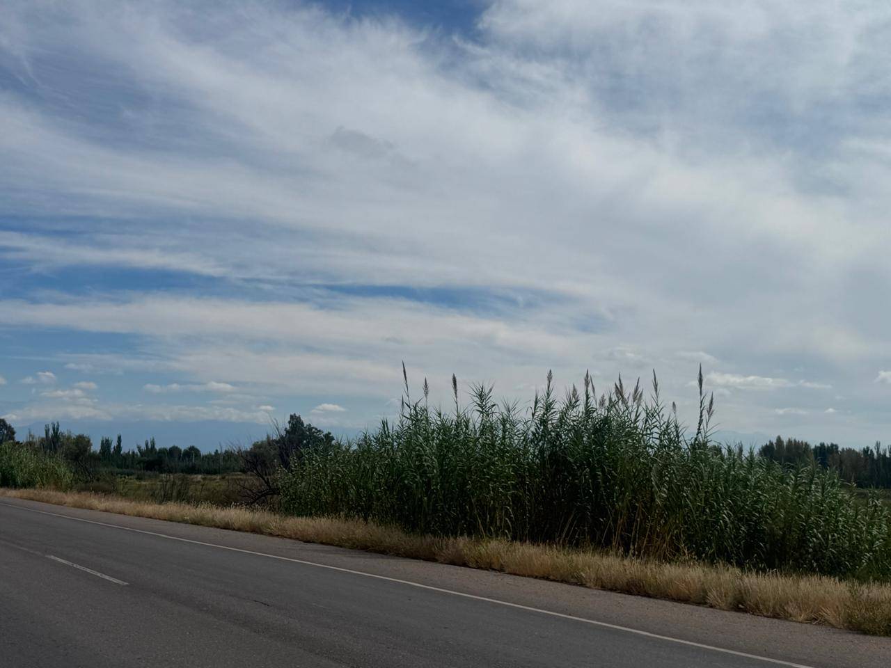 Terreno en Venta en Maipu, Mendoza