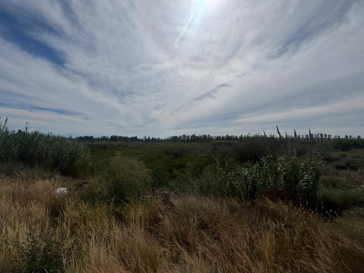 Terreno en Venta en Maipu, Mendoza