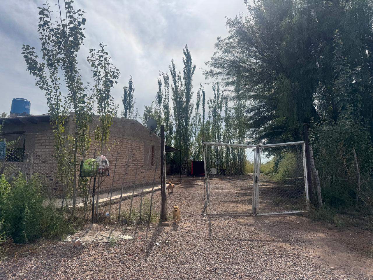 Terreno en Venta en Maipu, Mendoza