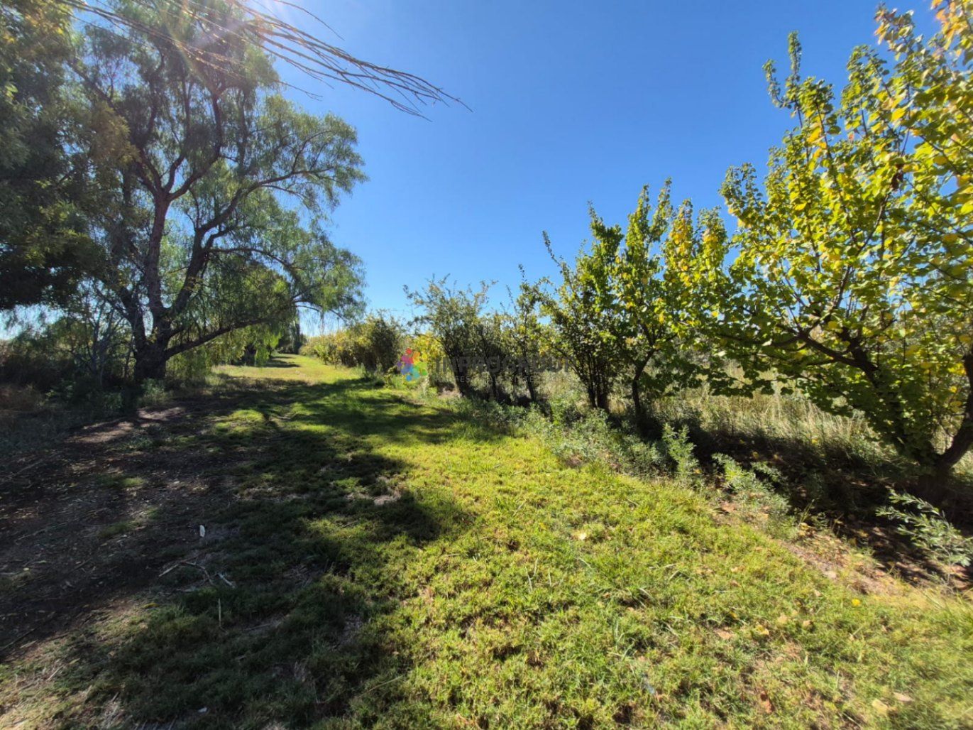 Finca en Venta en Maipu, Mendoza