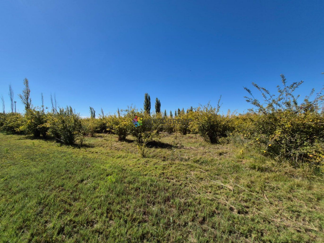 Finca en Venta en Maipu, Mendoza