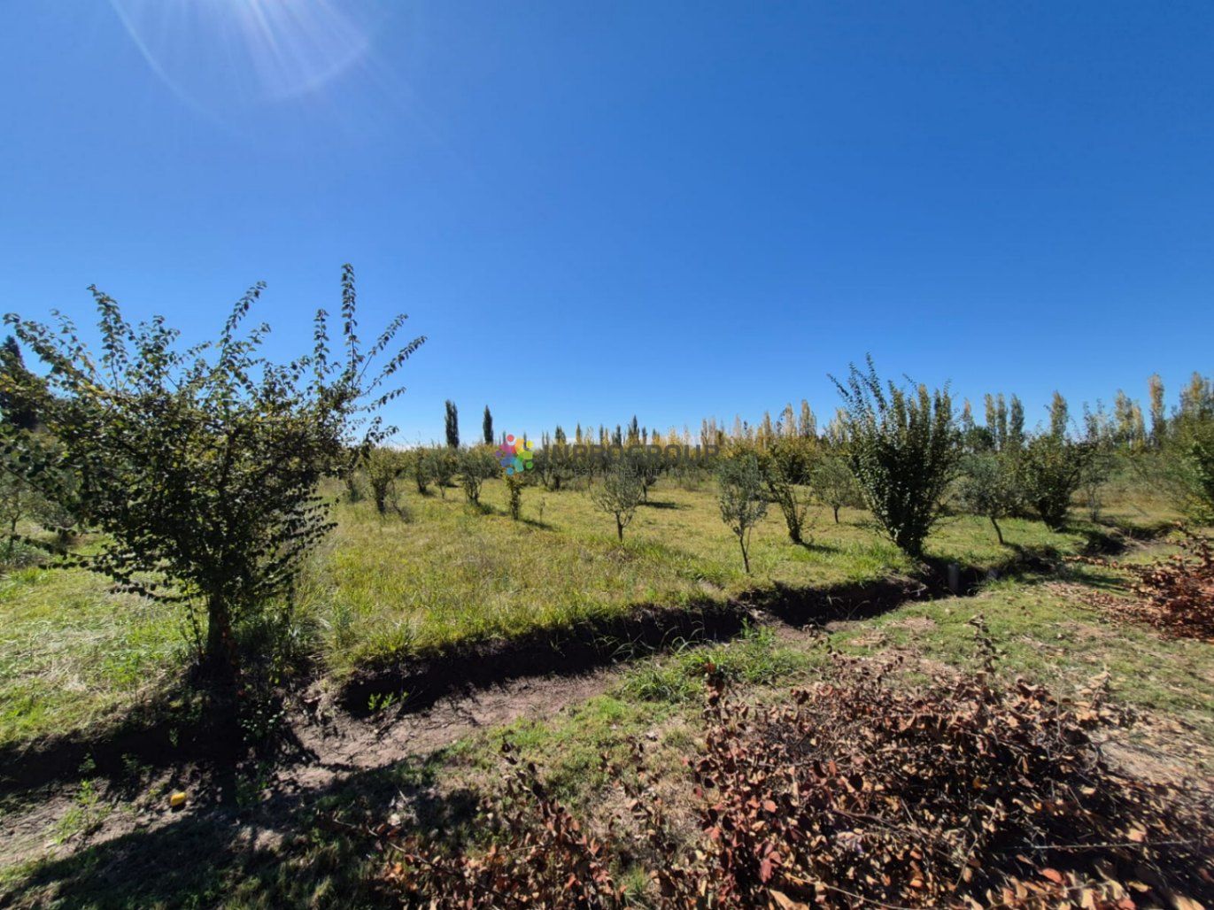 Finca en Venta en Maipu, Mendoza