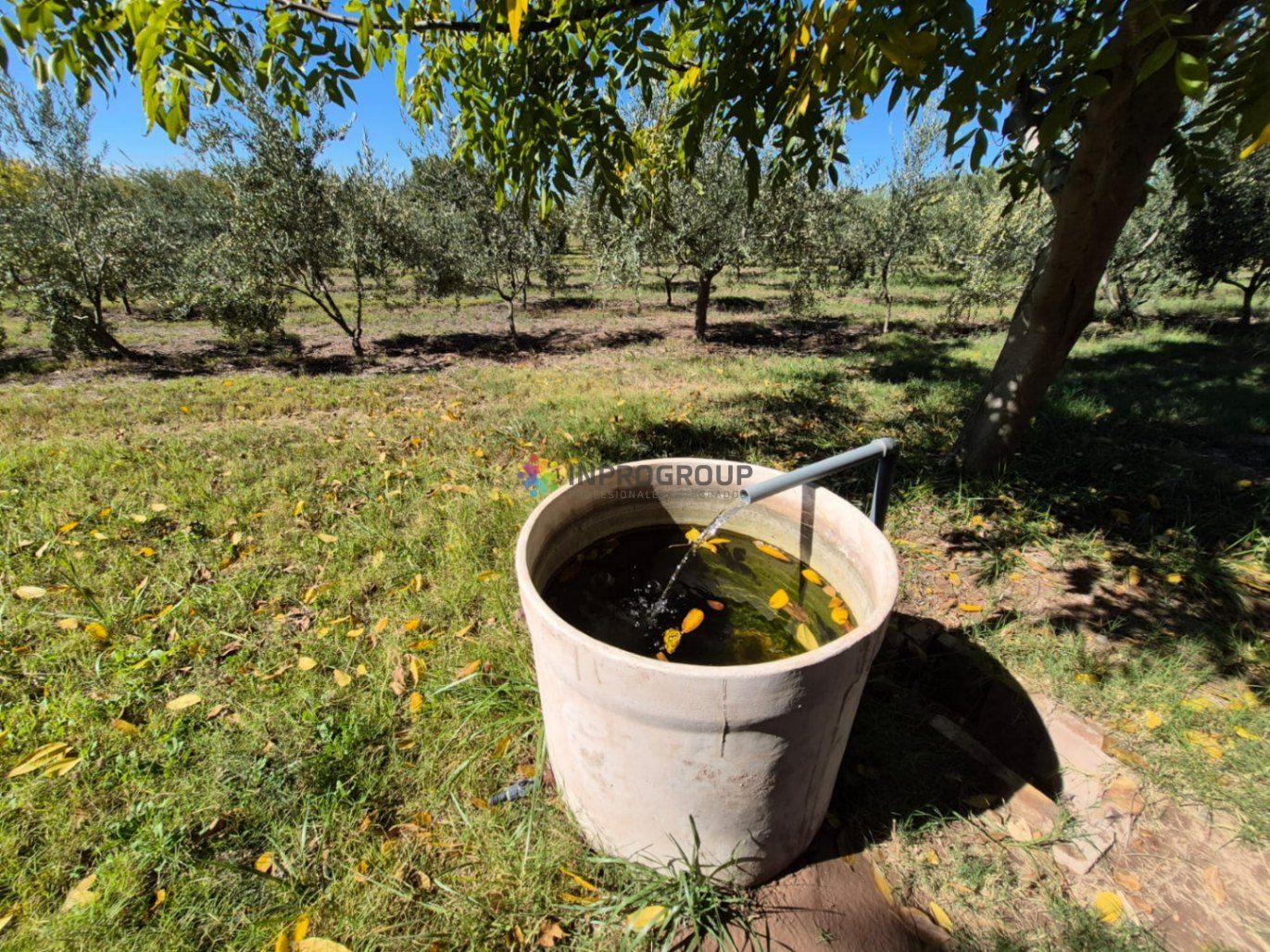 Finca en Venta en Maipu, Mendoza
