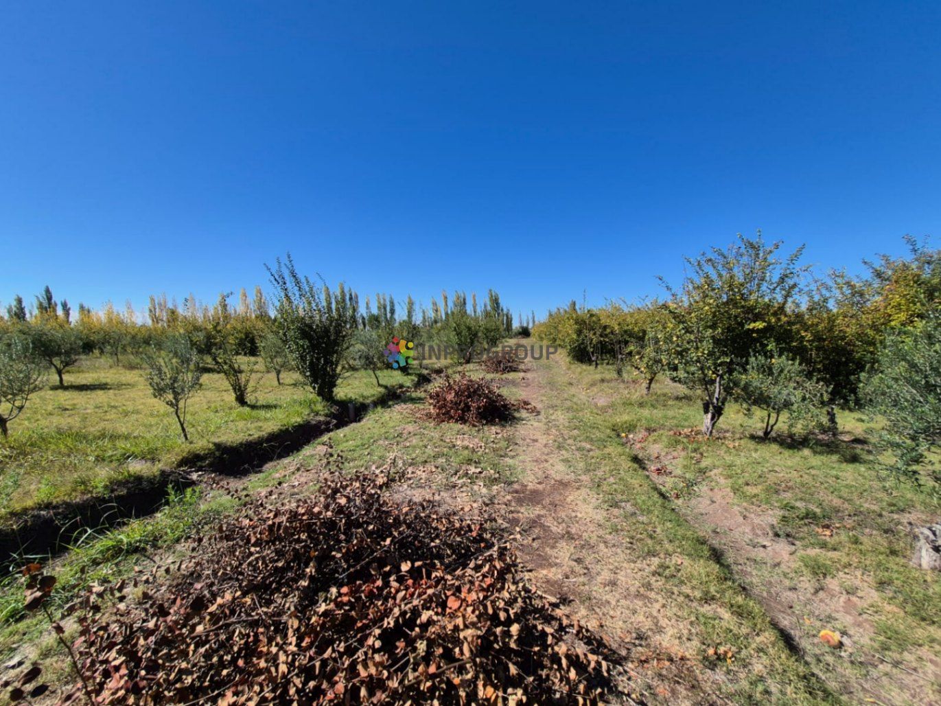 Finca en Venta en Maipu, Mendoza