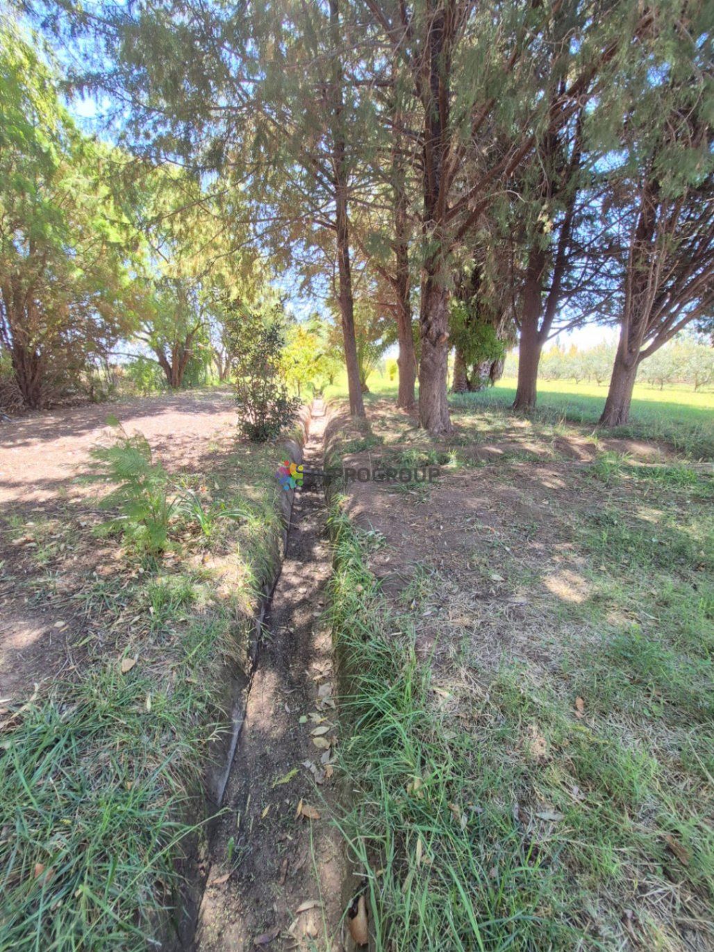 Finca en Venta en Maipu, Mendoza