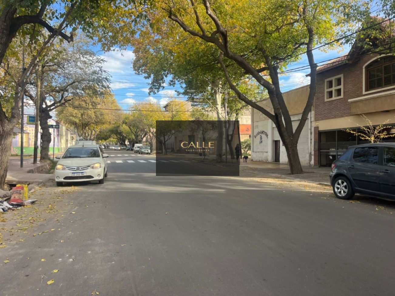 Terreno en Venta en Capital, Mendoza