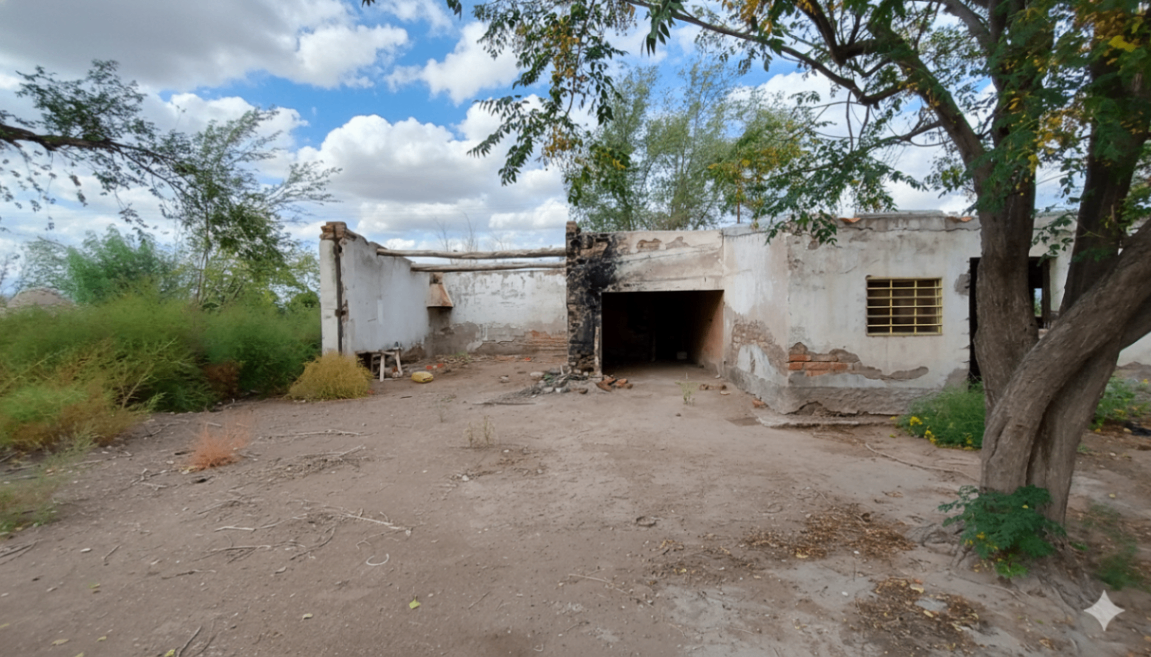 Campo en Venta en San Martin, Mendoza