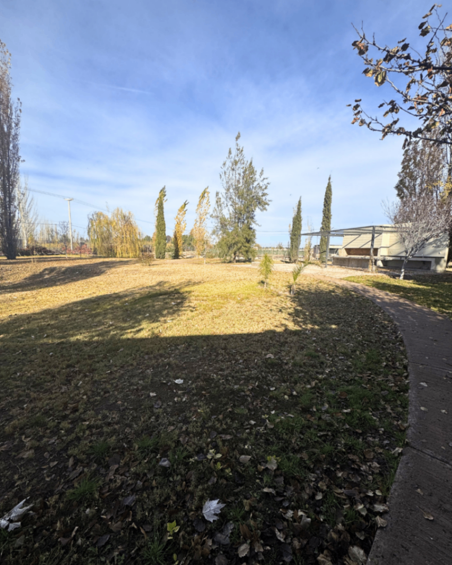 Terreno en Venta en Maipu, Mendoza