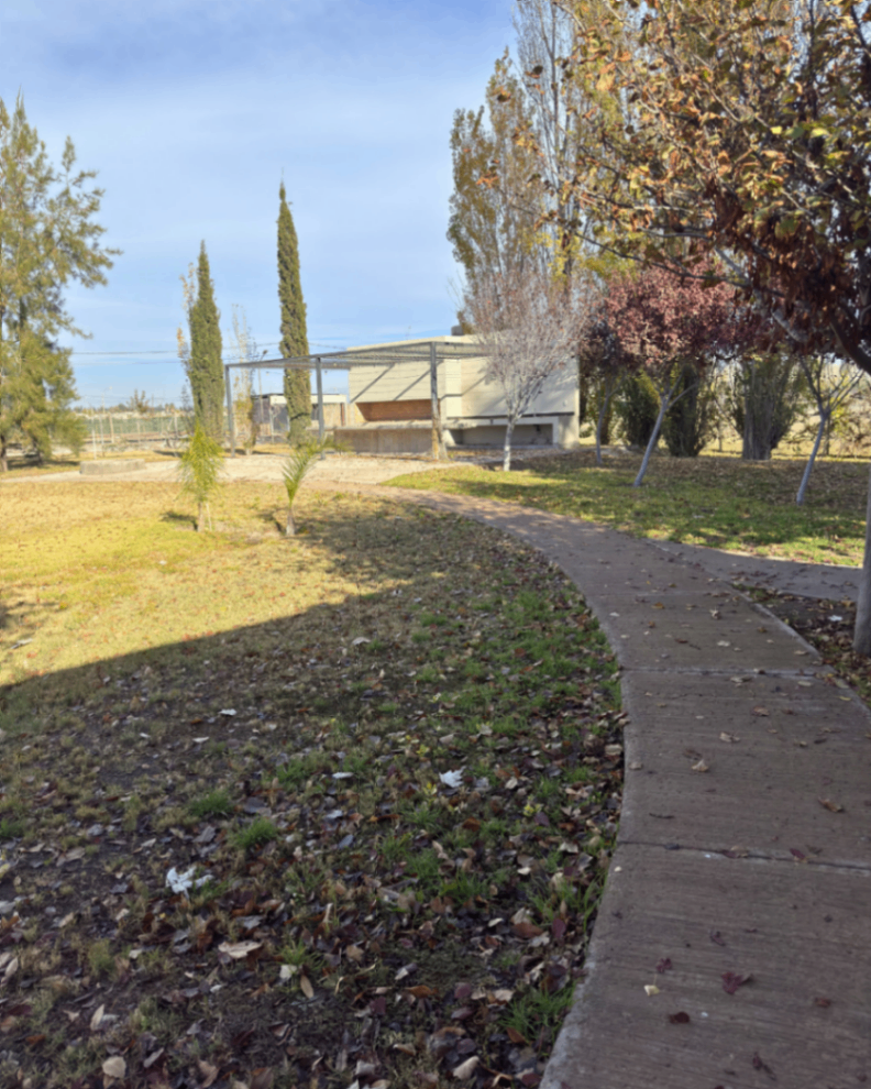 Terreno en Venta en Maipu, Mendoza