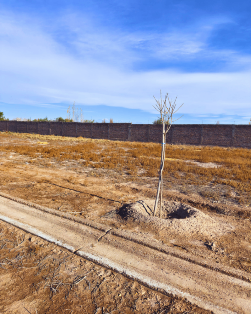 Terreno en Venta en Maipu, Mendoza