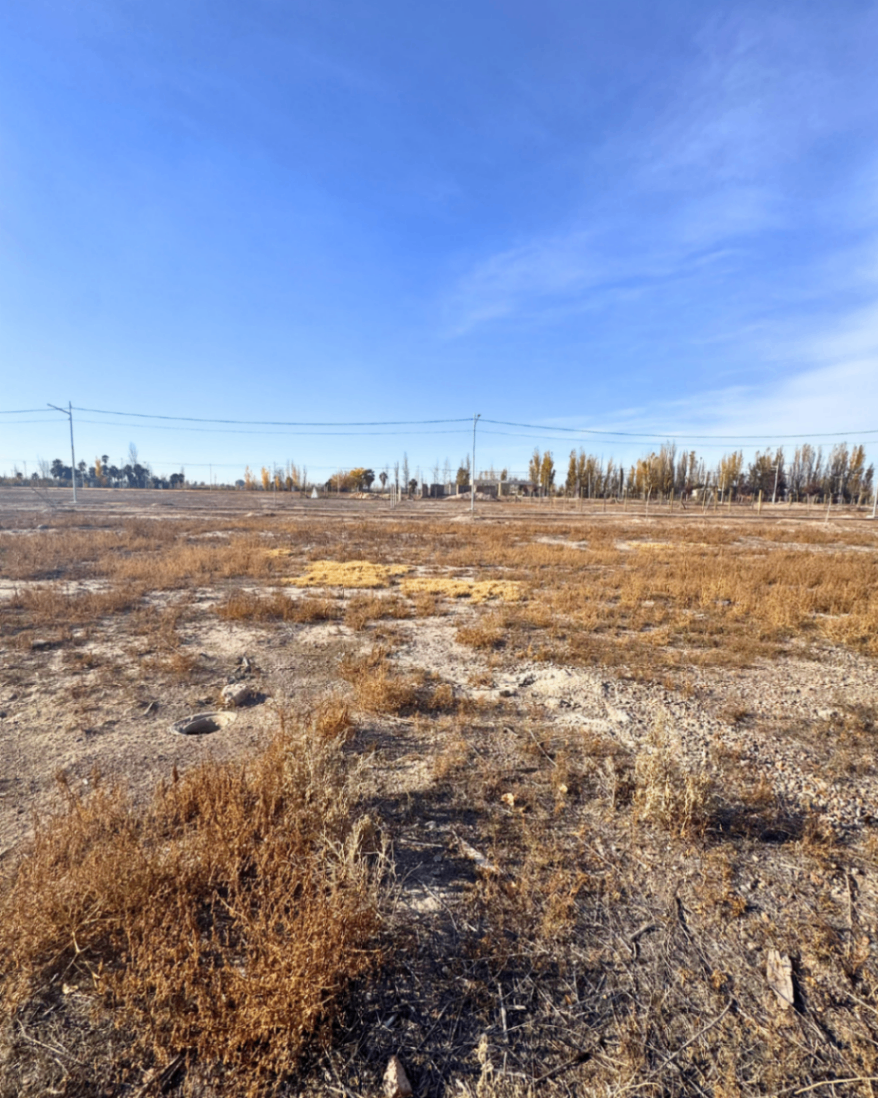 Terreno en Venta en Maipu, Mendoza