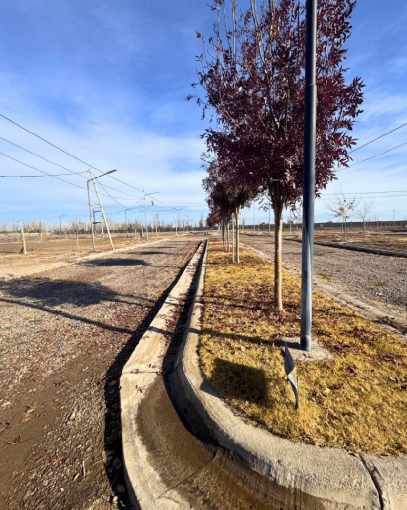 Terreno en Venta en Maipu, Mendoza